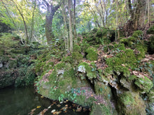 Load image into Gallery viewer, Moutains and Sea