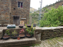 Load image into Gallery viewer, Moutains and Sea