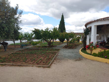 Load image into Gallery viewer, Bespoke Tour for Wine and History lovers!