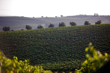 Load image into Gallery viewer, Lisbon wine country