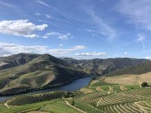 Load image into Gallery viewer, Bespoke Tour for Wine and History lovers!