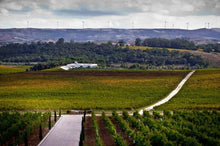 Load image into Gallery viewer, Lisbon wine country