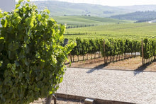 Load image into Gallery viewer, Lisbon wine country