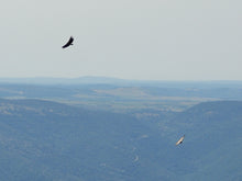 Load image into Gallery viewer, Porto and Douro