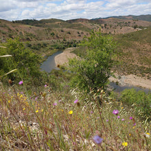 Load image into Gallery viewer, Algarve Tour, where the Sea meets the mountains!