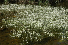 Load image into Gallery viewer, Algarve Tour, where the Sea meets the mountains!