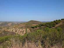 Load image into Gallery viewer, Algarve Tour, where the Sea meets the mountains!