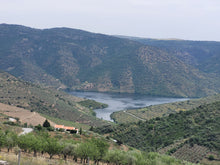 Load image into Gallery viewer, Porto and Douro