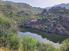 Load image into Gallery viewer, Porto and Douro