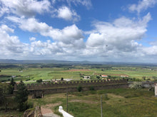 Load image into Gallery viewer, Alentejo Tour