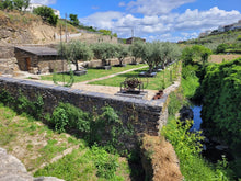 Load image into Gallery viewer, Porto and Douro