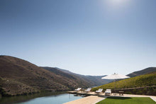 Load image into Gallery viewer, Turtle Ladies Tour