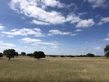 Load image into Gallery viewer, Bespoke Tour for Wine and History lovers!