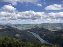 Load image into Gallery viewer, Bespoke Tour for Wine and History lovers!