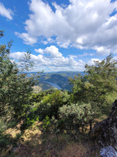 Load image into Gallery viewer, Porto and Douro
