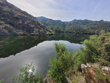 Load image into Gallery viewer, Porto and Douro