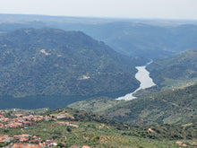 Load image into Gallery viewer, Porto and Douro
