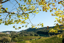 Load image into Gallery viewer, Lisbon wine country