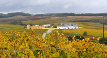 Load image into Gallery viewer, Lisbon wine country