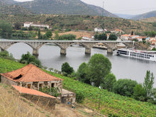 Load image into Gallery viewer, Porto and Douro