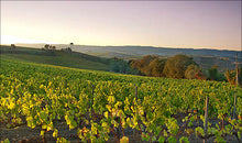 Load image into Gallery viewer, Lisbon wine country