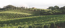 Load image into Gallery viewer, Lisbon wine country