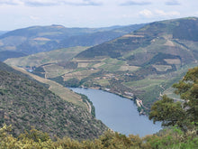 Load image into Gallery viewer, Porto and Douro