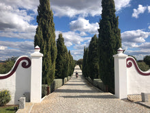 Load image into Gallery viewer, Alentejo Tour