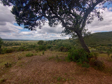 Load image into Gallery viewer, Alentejo Tour
