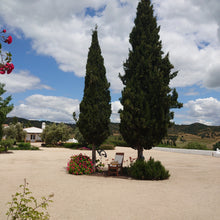 Load image into Gallery viewer, Alentejo Tour