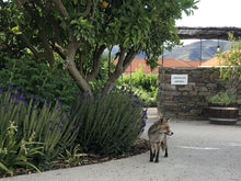 Load image into Gallery viewer, Bespoke Tour for Wine and History lovers!