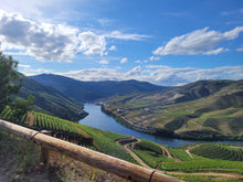 Load image into Gallery viewer, Porto and Douro
