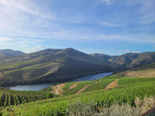Load image into Gallery viewer, Porto and Douro