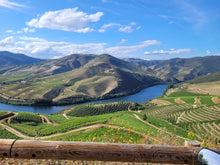 Load image into Gallery viewer, Porto and Douro