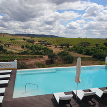 Load image into Gallery viewer, Turtle Big Tour - From Porto to Faro